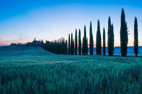 travel1