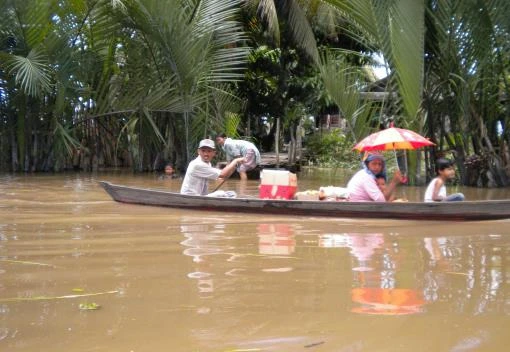 Perairan rawa sebagai alat transportasi