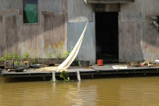 Perairan rawa sebagai tempat penangkapan ikan