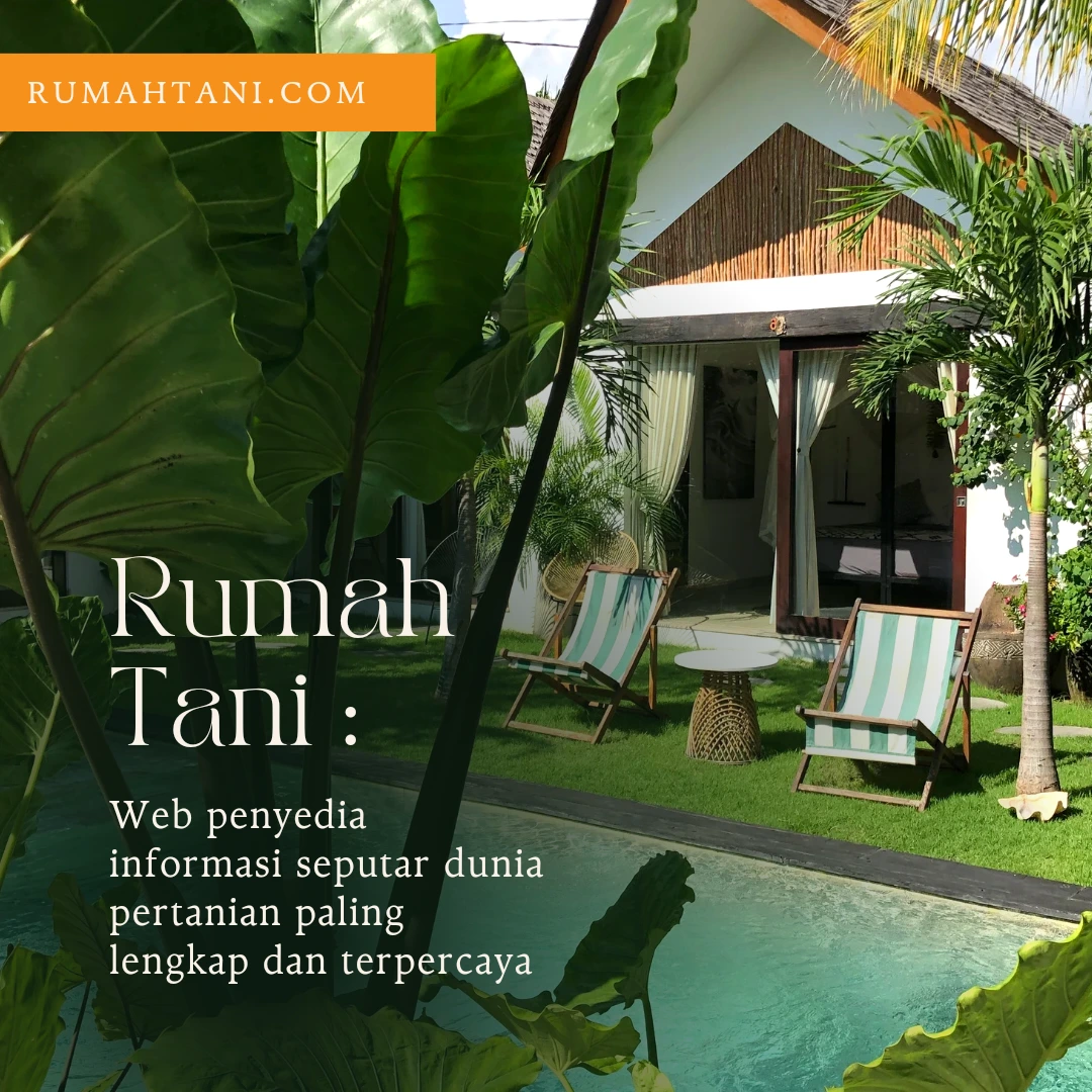 Banner Rumah Tani